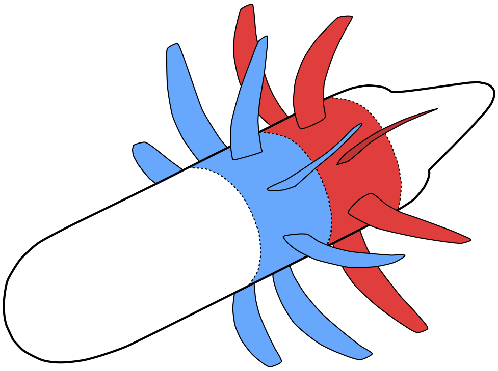 Counter-Rotating Open Rotors