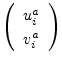 $\displaystyle \left( \begin{array}{c} u_i^a \  v_i^a \end{array} \right)$