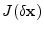 $\displaystyle J(\delta{\mathbf x})$