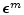 $\boldsymbol {\epsilon}^m$